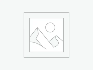 دولت واقف به این است که وضعیت در استان بوشهر مناسب نیست